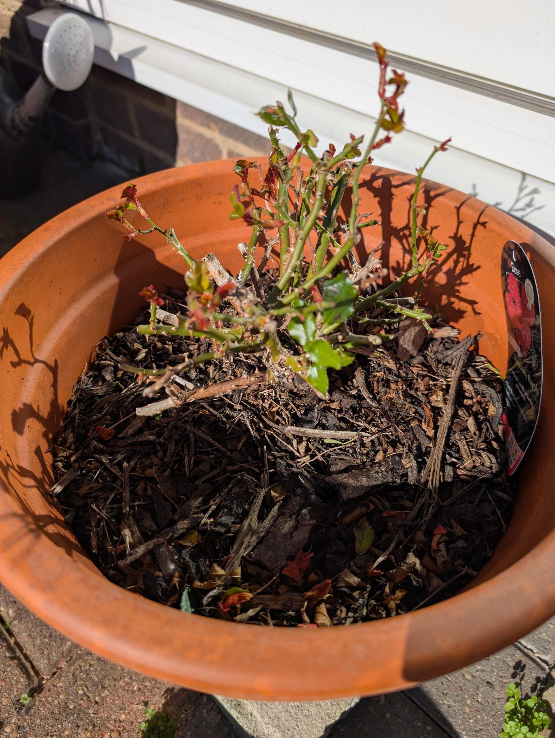 Sinking Soil