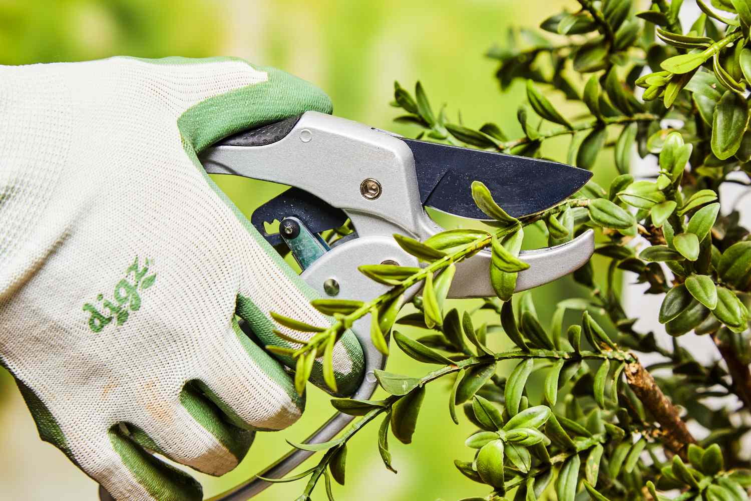 Ratchet Garden Pruning Shears
