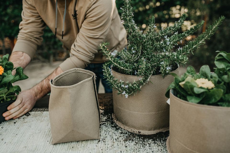 Grow Smarter: Key Benefits of Using Fabric Pots