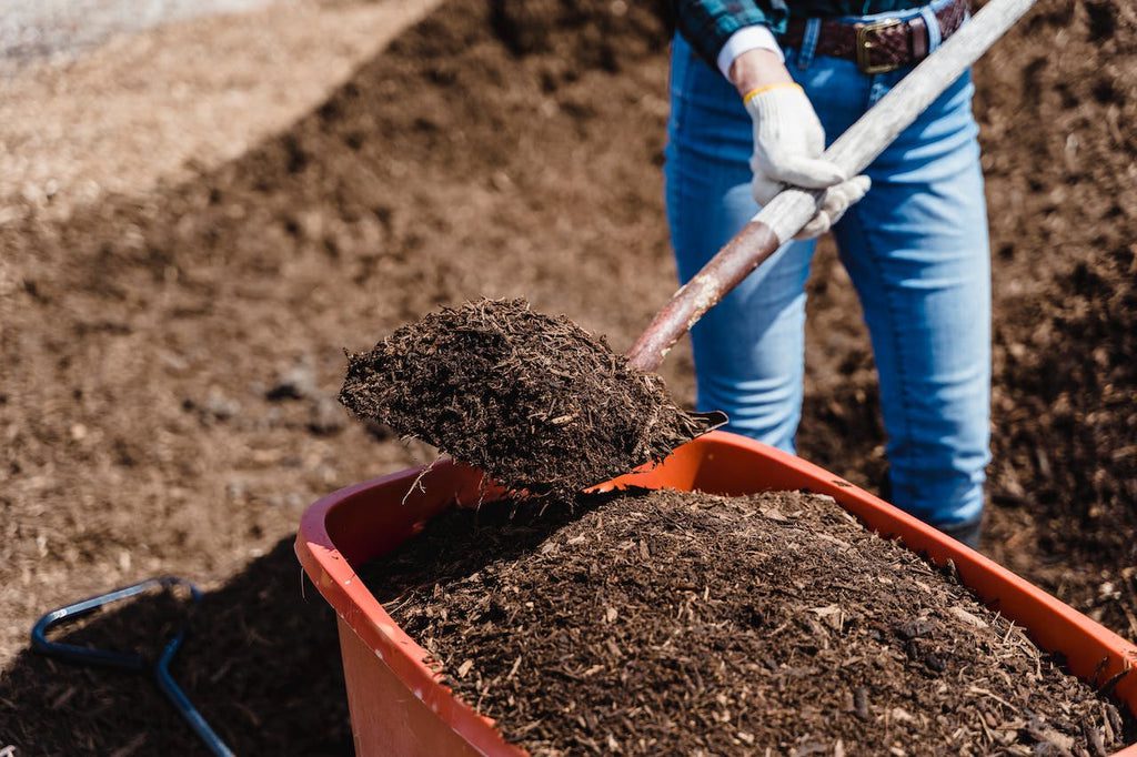 When do you optimally fertilize your garden with compost? | Doikav