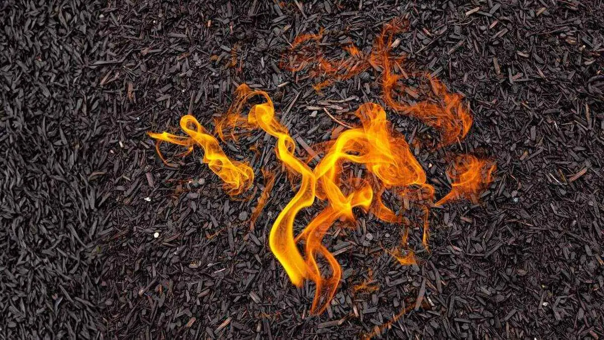 Could mulch catch fire and burn down a home? (4 Tips to Avoid Mulch