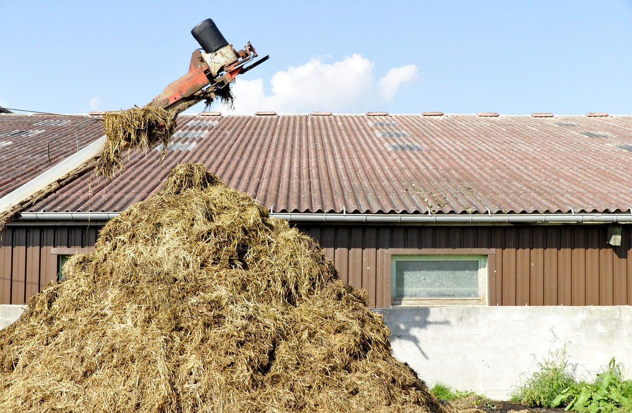 damn, agriculture, fertilize
