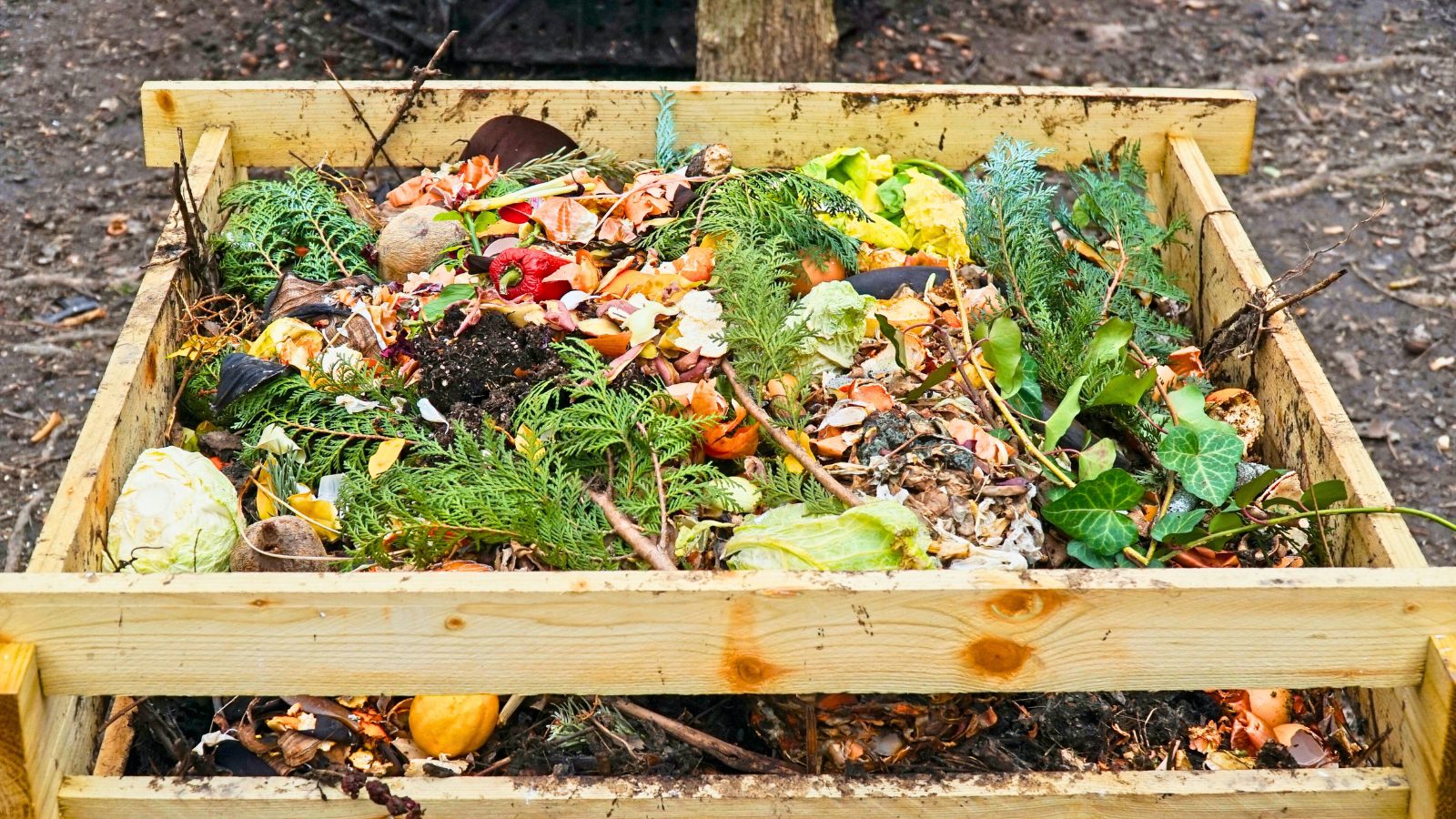 Composting 101