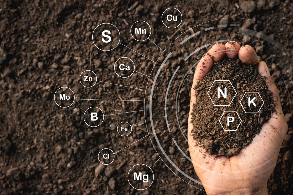 Essential Plant Nutrients - Complete Guide | Verdesian