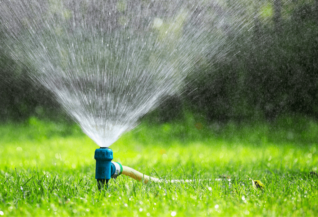 How to Water Your Grass