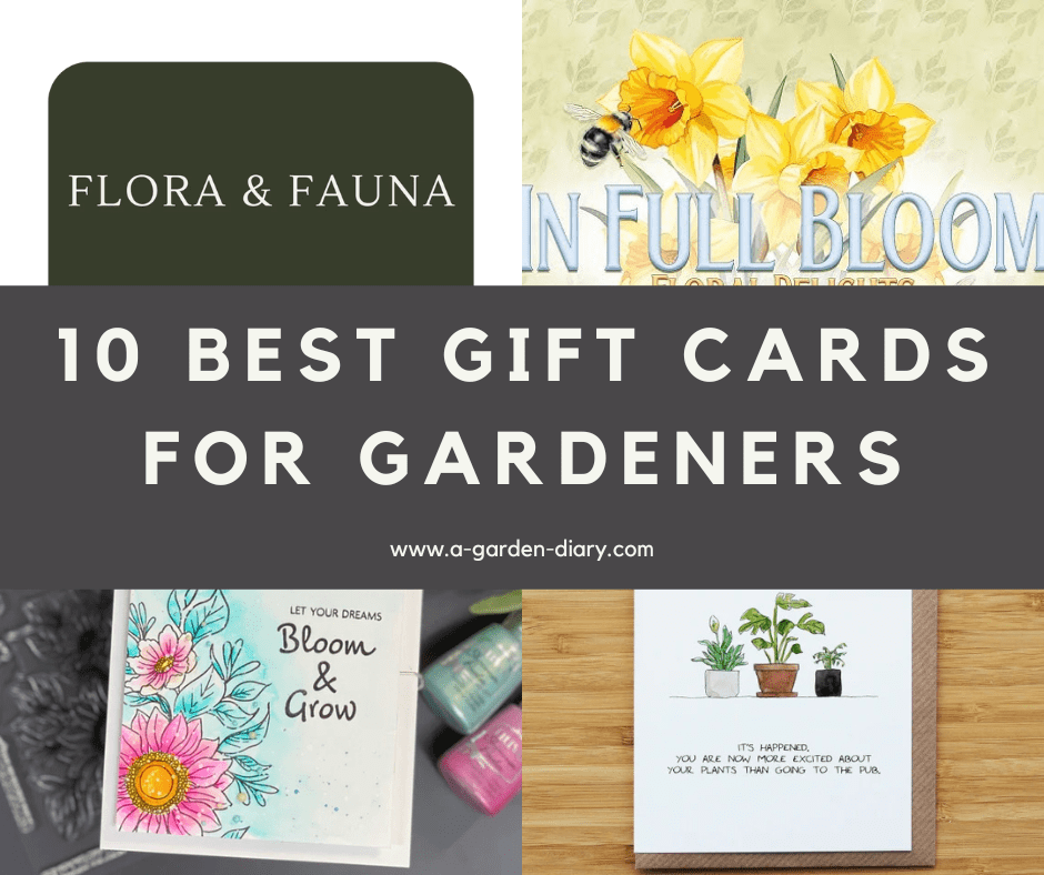 Best Gift Cards for Gardeners