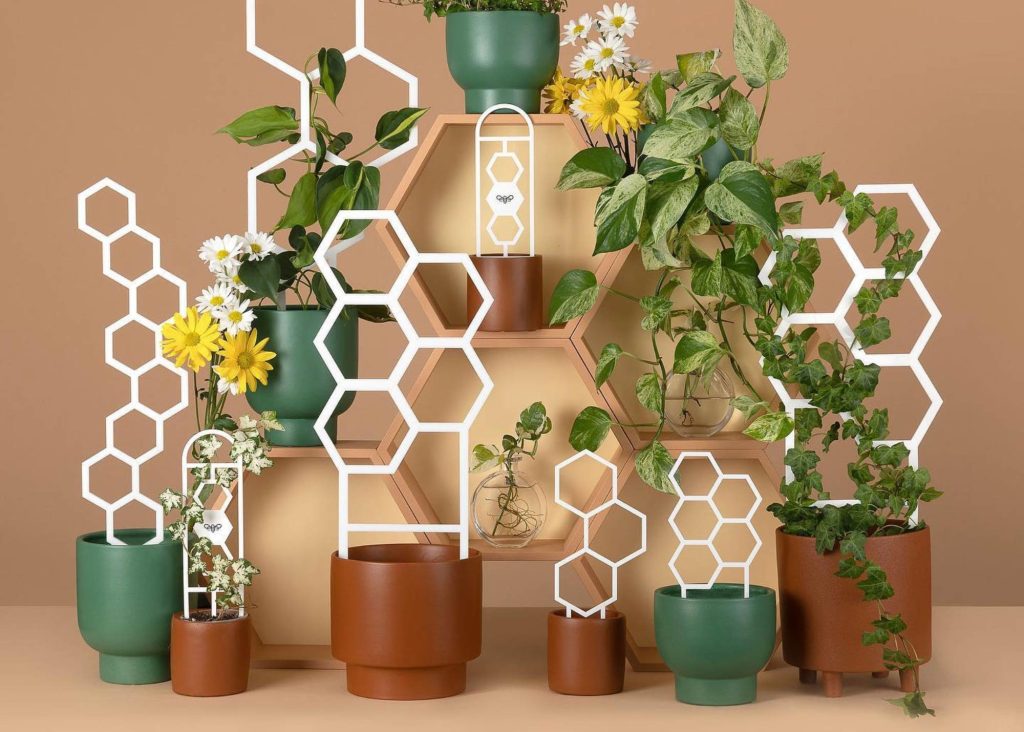 Unusual Gardening Gift