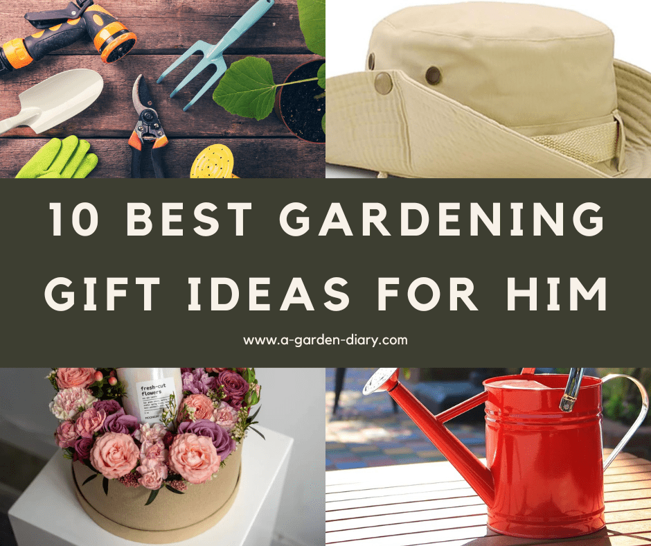 Best Gardening Gift Ideas for Him