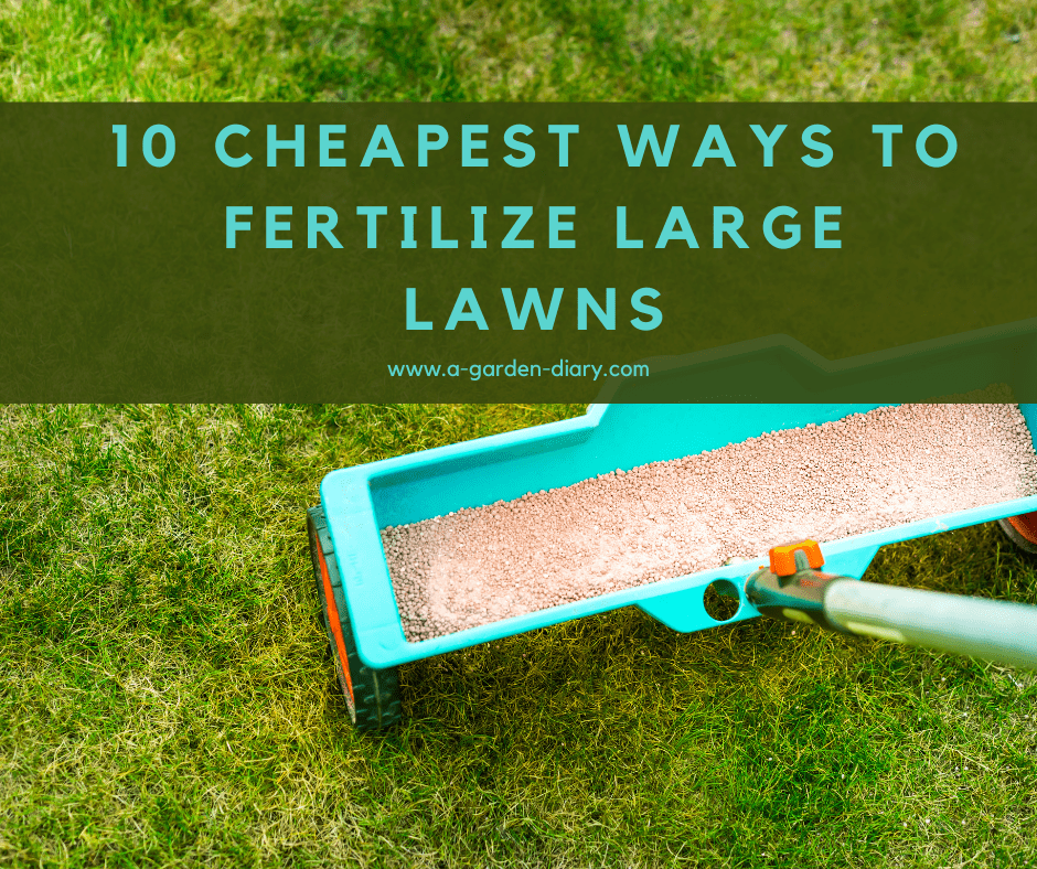 Cheapest Ways To Fertilize Large Lawns