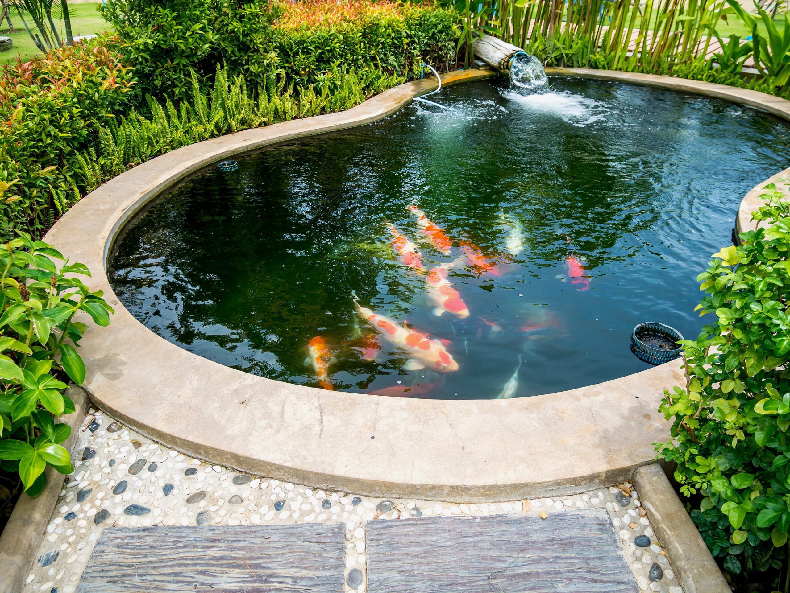 Pond Ideas