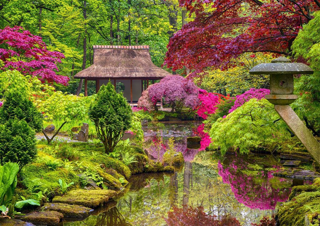 Japanese Garden Pruning Techniques