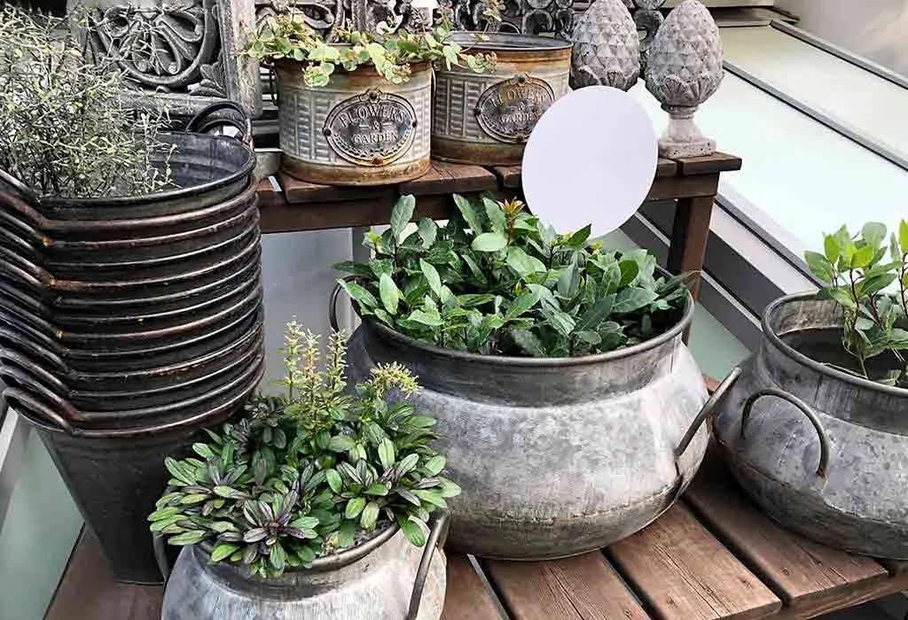 20 Unique and Interesting Container Gardening Ideas