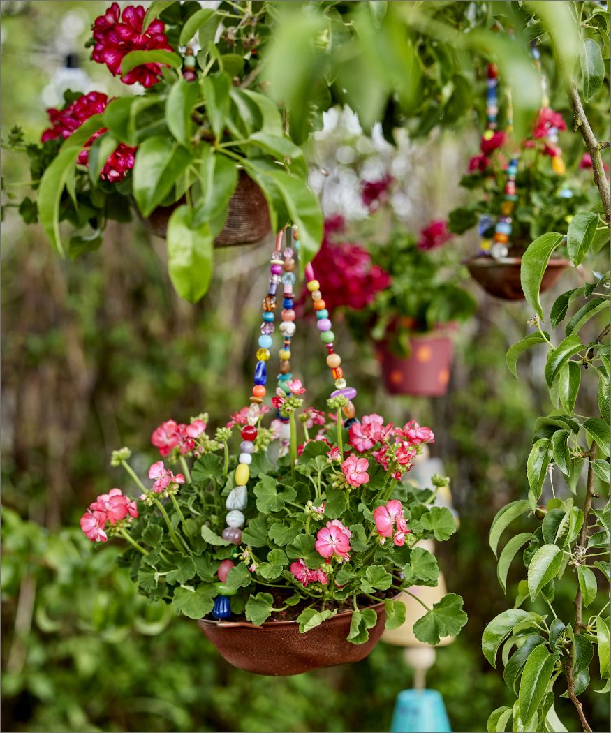 Flower power at eye level. DIY geranium hanging baskets › My Geranium