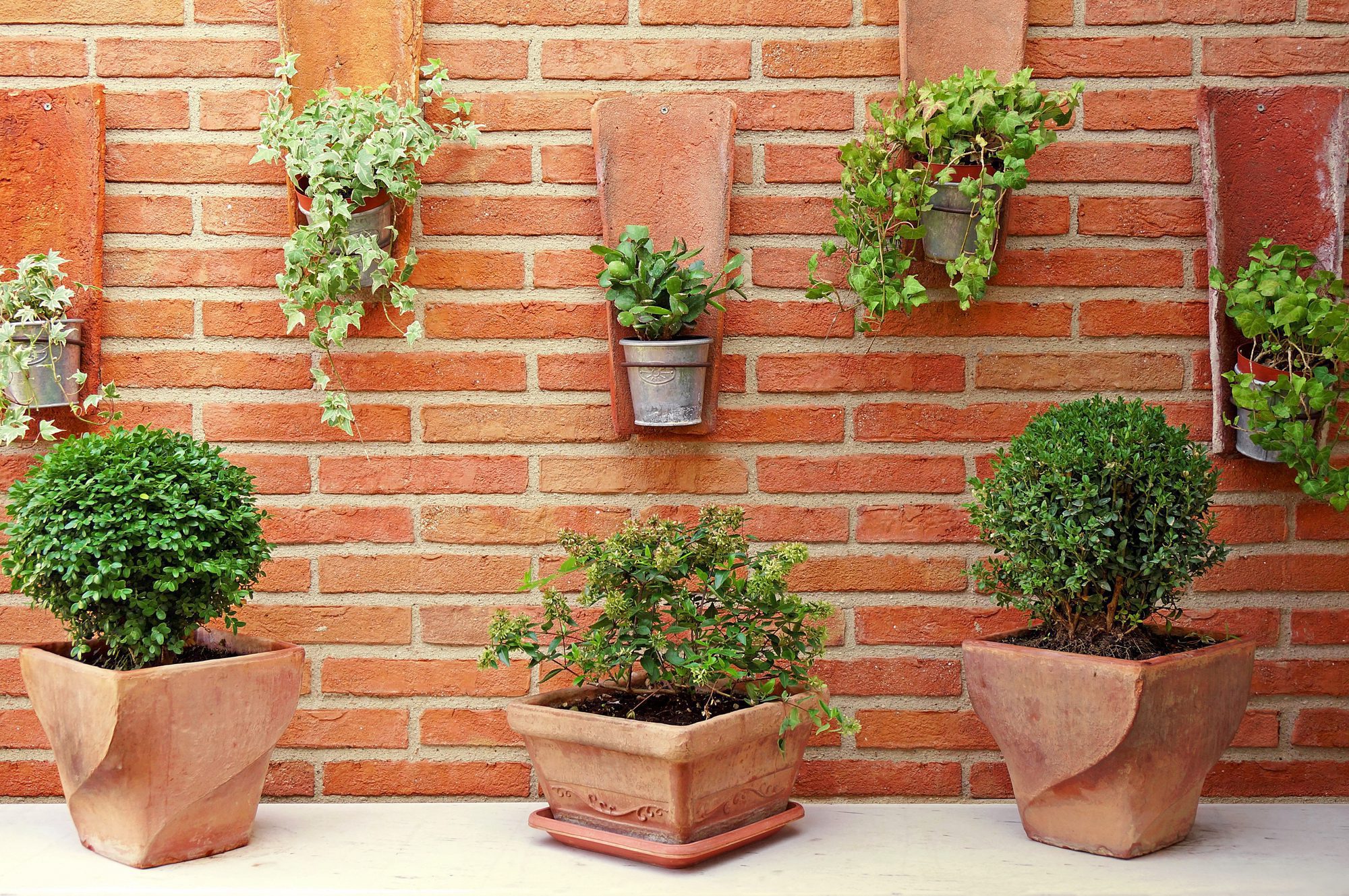 Contemporary & Quirky Mounted Outdoor Wall Planters ~ Fresh Design Blog