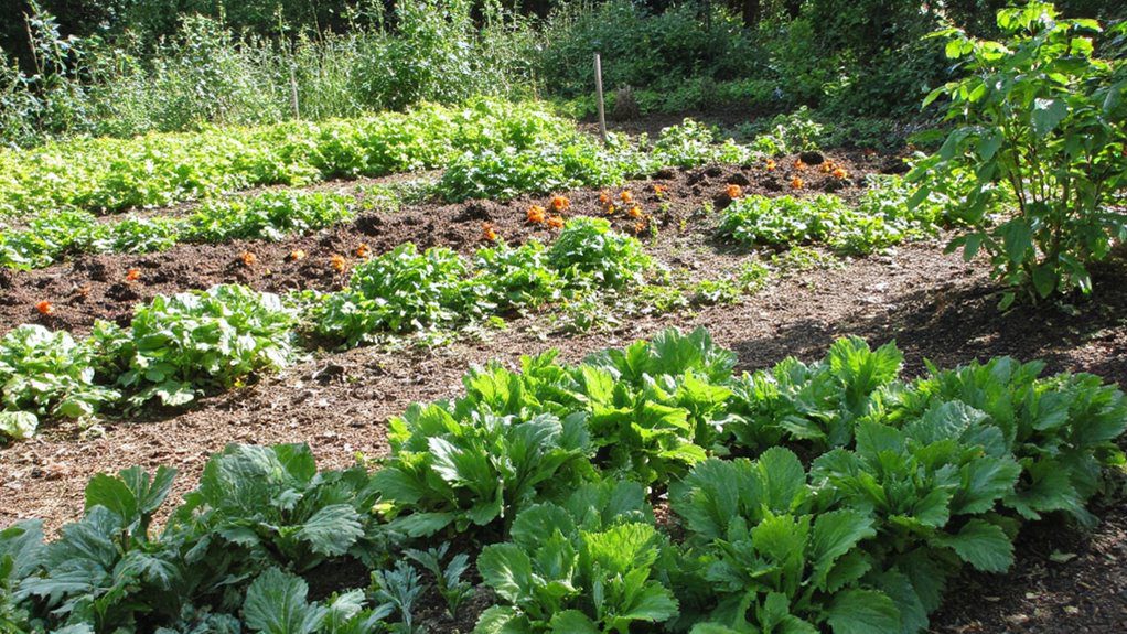 companion plants enhance growth