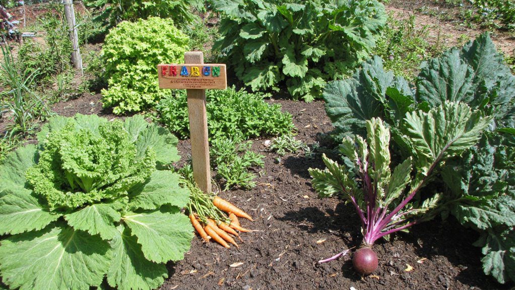 crop rotation for sustainability