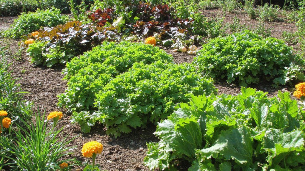 interplanting for maximum yield