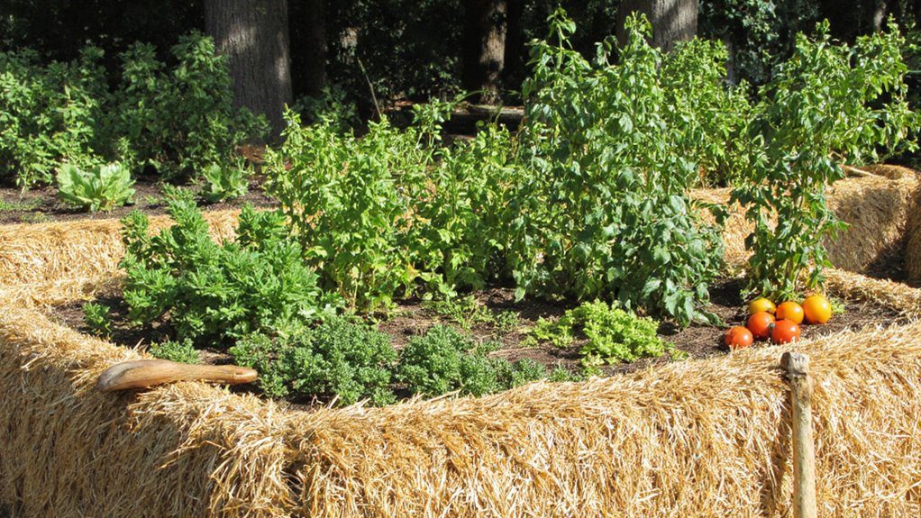 straw bales for gardening