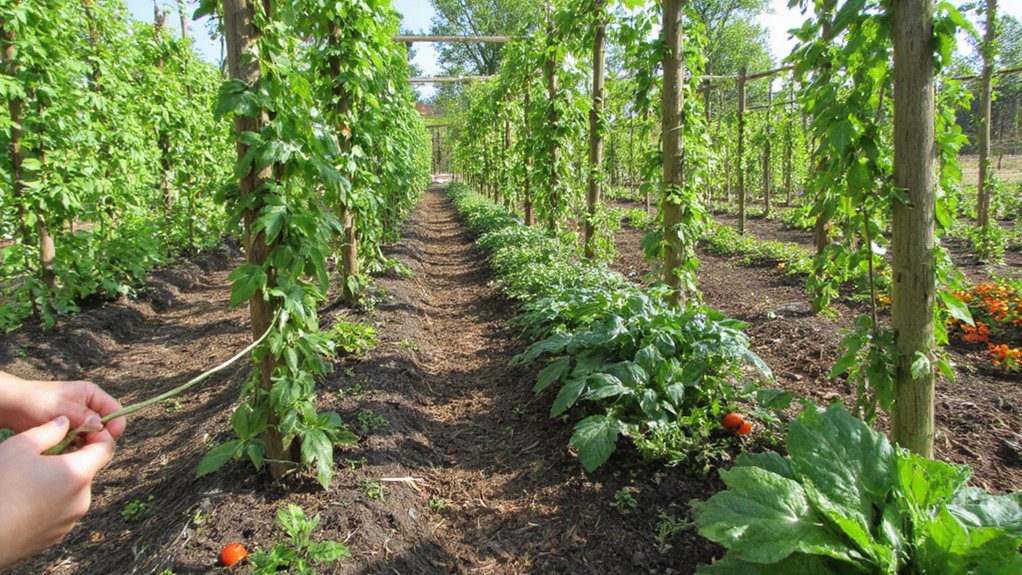 support plants for growth