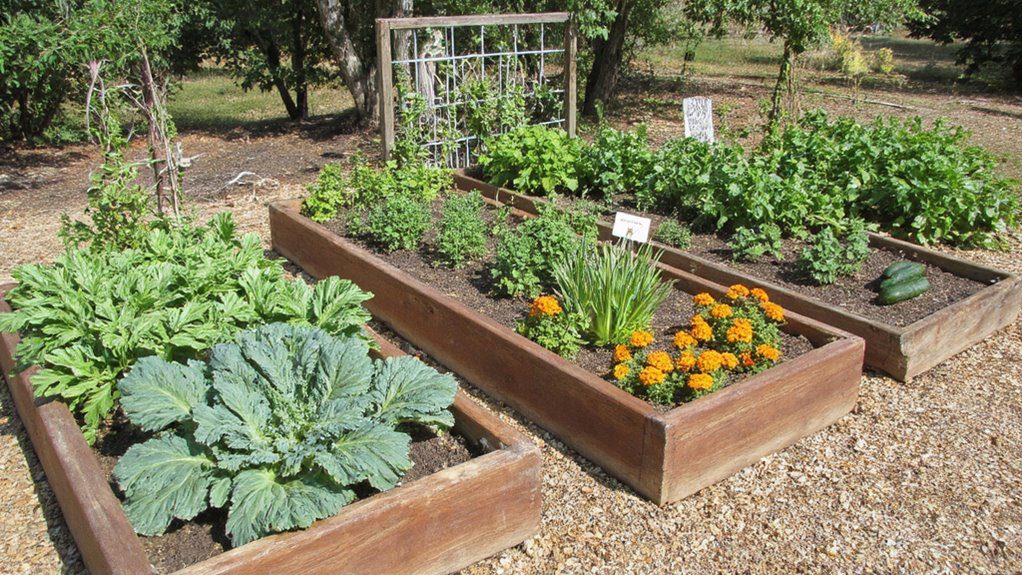 versatile trio raised beds
