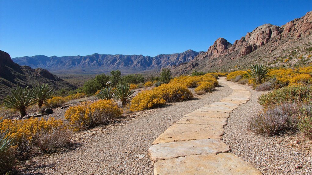 durable sustainable pathway options