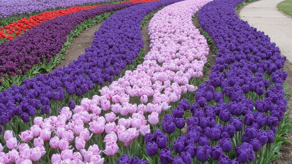 monochromatic tulip elegance