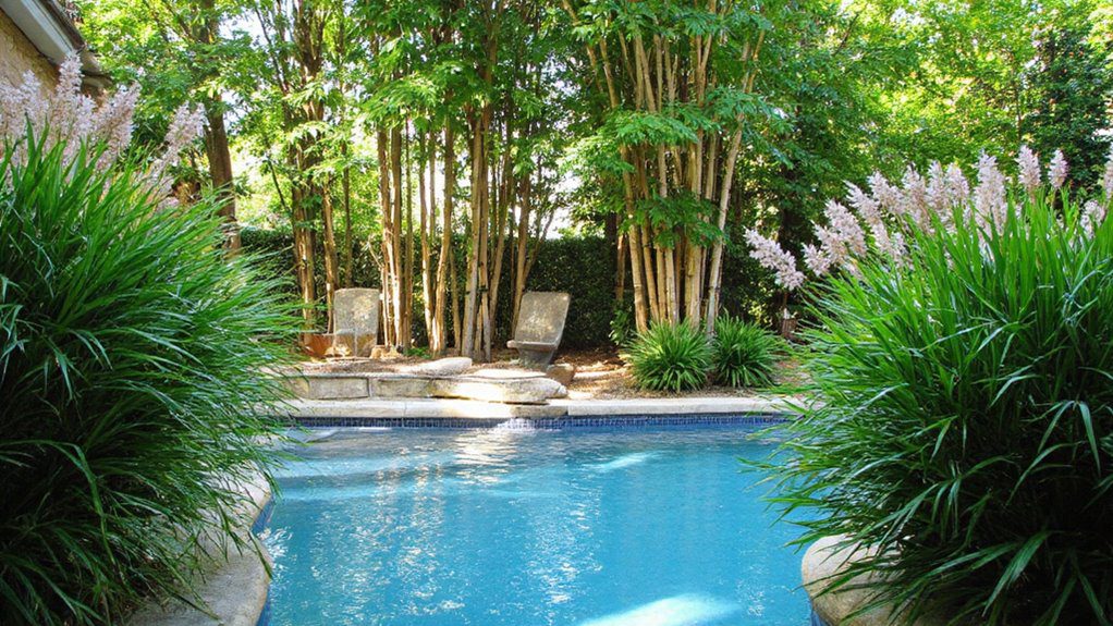 natural privacy with plants