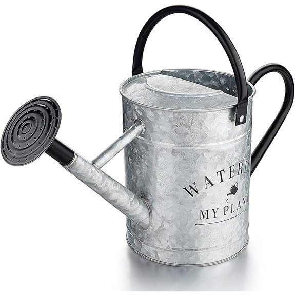 Garutom 1-Gallon Galvanized Decorative Watering Can