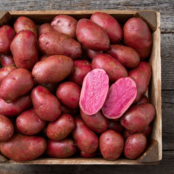 Organic Non-GMO Adirondack Red Potato
