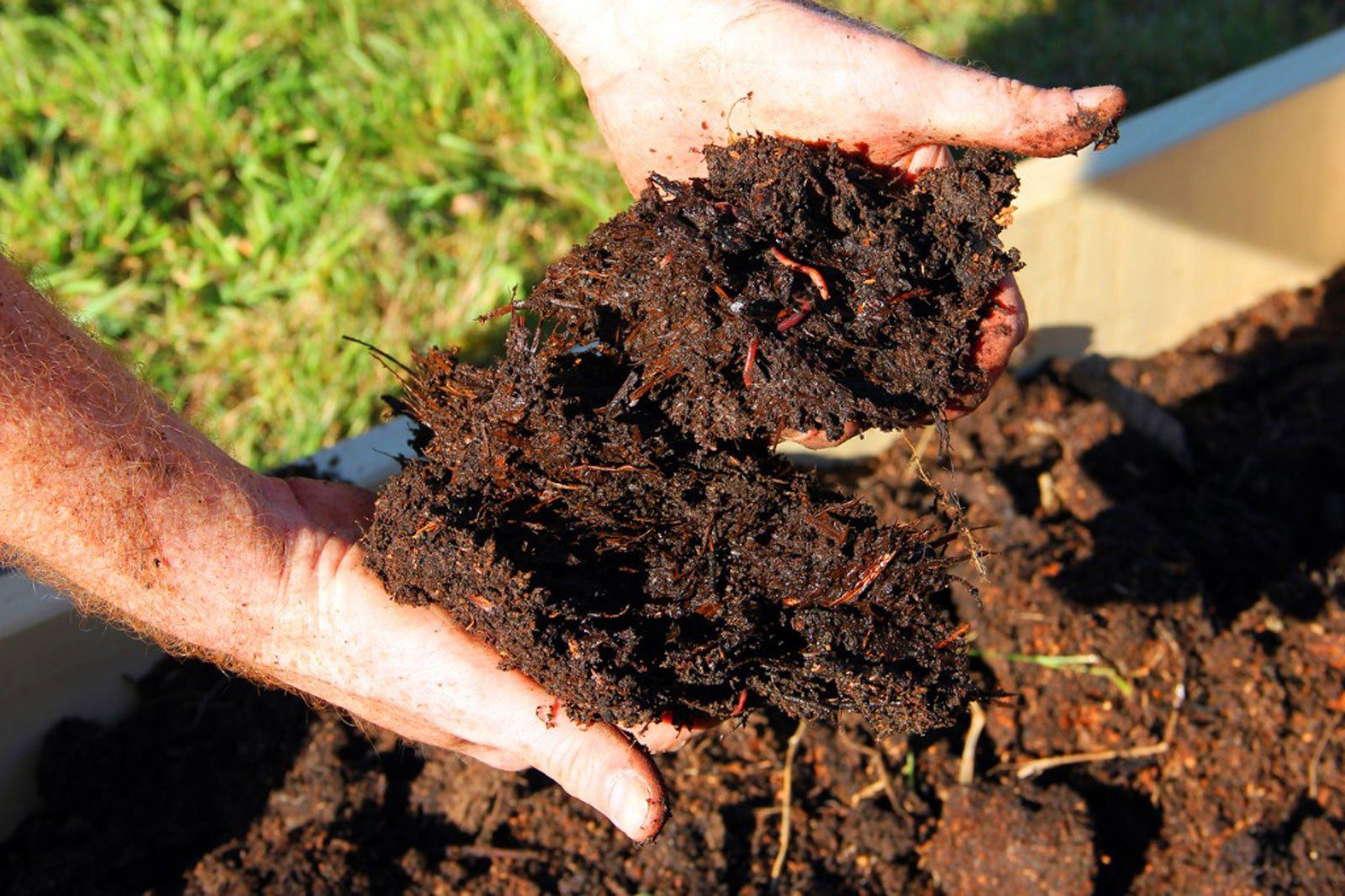 Amending Soil With Compost: Learn How To Mix Soil And Compost | Gardening Know How