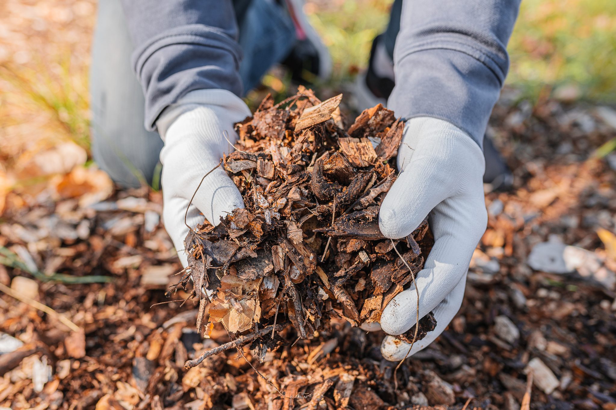 mulch