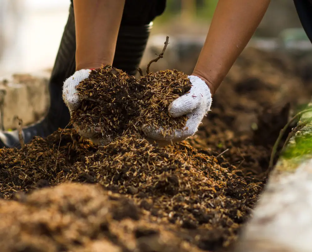 Adding Soil to Compost
