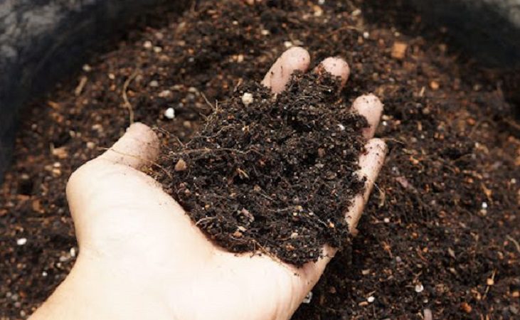 When Do I Add Compost To My Garden?