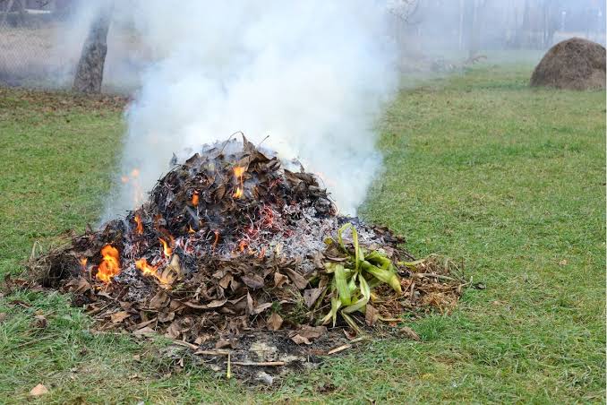 Can You Burn Mulch? The Pros and Cons Explained - Flourishing Plants