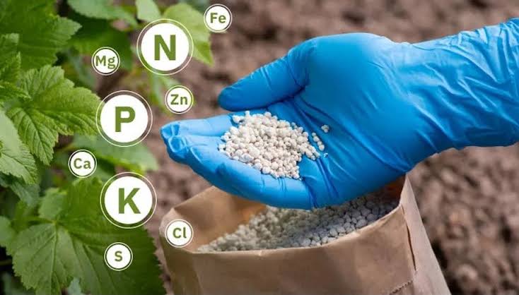Fertilizer