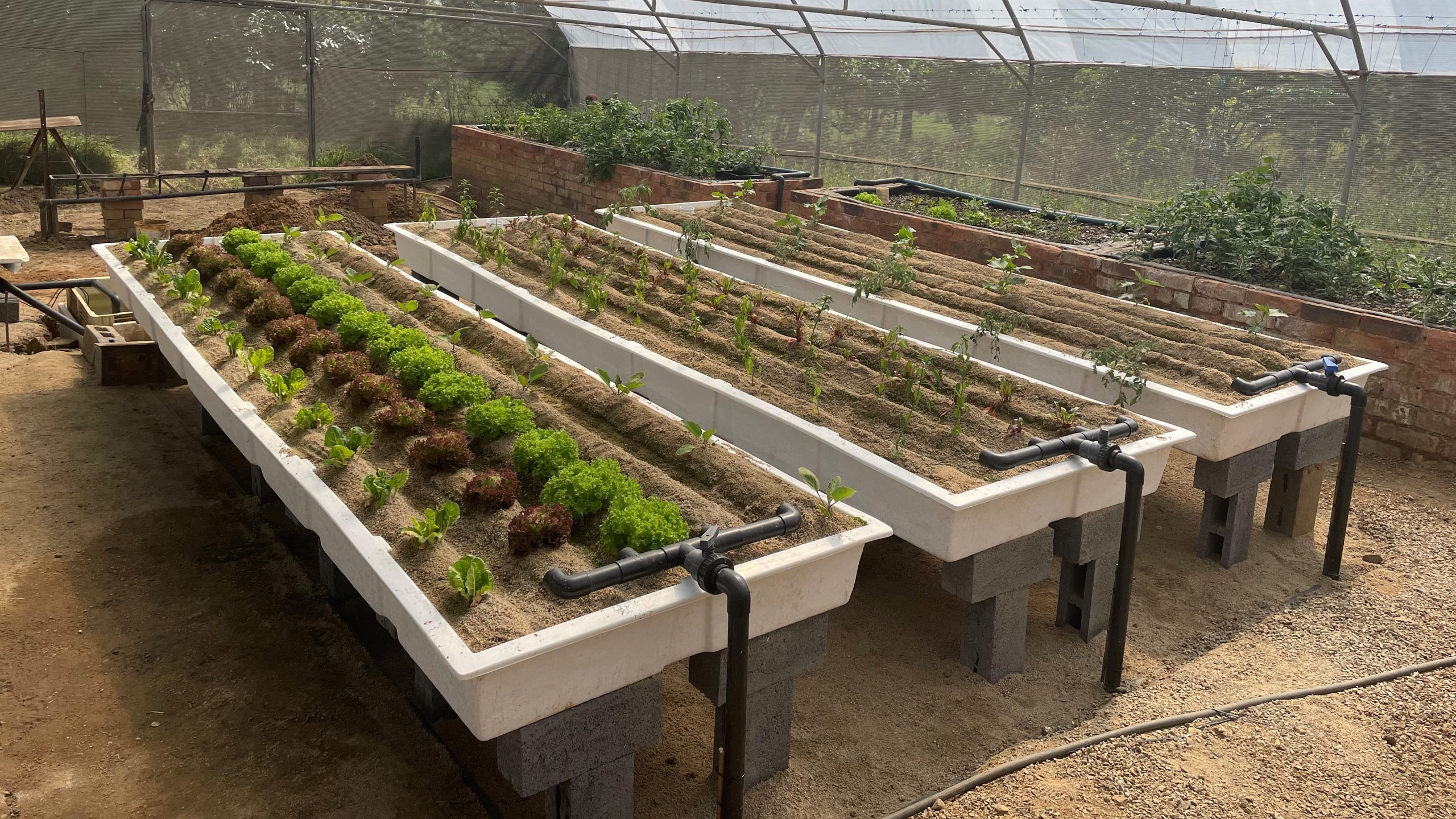SANDPONICS IS AQUAPONICS ON STEROIDS - HOW TO BUILD YOUR OWN SANDPONICS OR SANDGARDEN SYSTEM - MyAquaponics