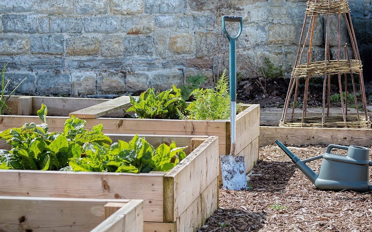 Asymmetrical Raised Garden Bed - Raised Garden Bed for Yards That Don't Get Full Sun