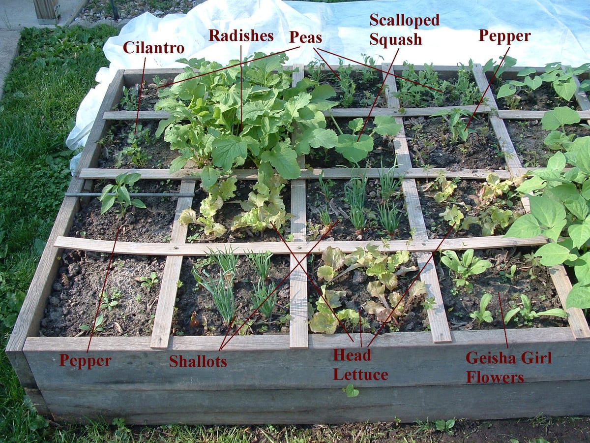 Square Foot Raised Garden Bed - Raised Garden Bed for Yards That Don't Get Full Sun