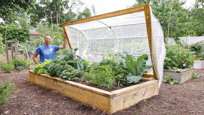 Raised Garden Bed with a Cover - Raised Garden Bed for Yards That Don't Get Full Sun